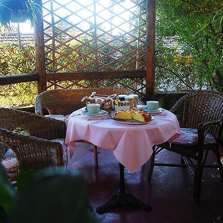Le Camelie Bed & Breakfast Brissago-Valtravaglia Екстериор снимка