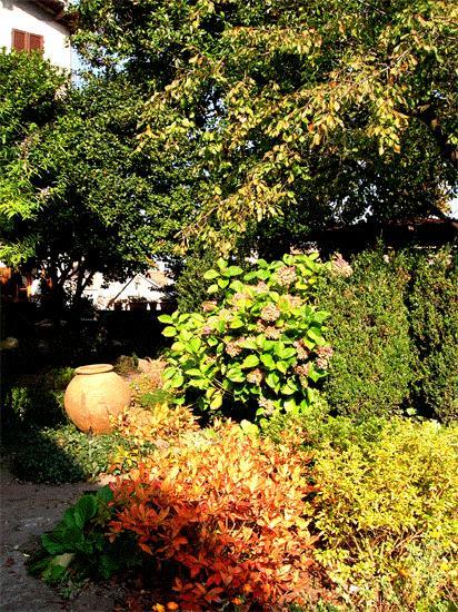Le Camelie Bed & Breakfast Brissago-Valtravaglia Екстериор снимка